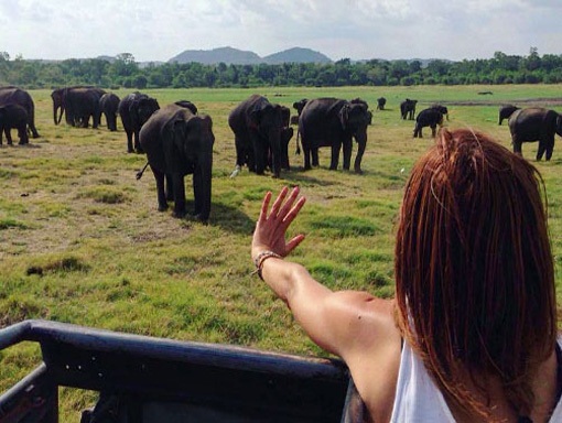 image by Egzon Bytyqi