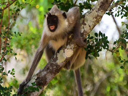 image by Egzon Bytyqi